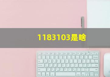 1183103是啥