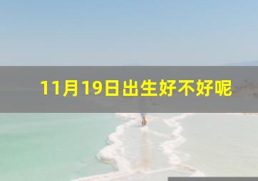 11月19日出生好不好呢