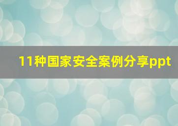 11种国家安全案例分享ppt