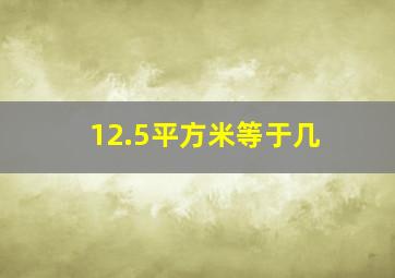 12.5平方米等于几