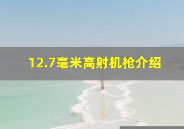 12.7毫米高射机枪介绍