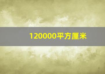 120000平方厘米