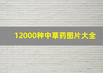 12000种中草药图片大全