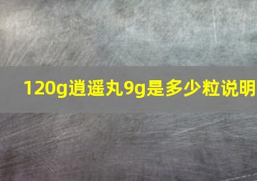 120g逍遥丸9g是多少粒说明