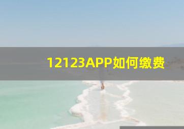 12123APP如何缴费