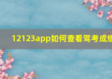 12123app如何查看驾考成绩