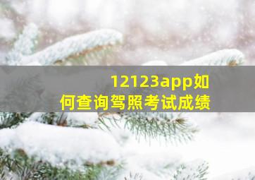 12123app如何查询驾照考试成绩