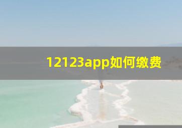 12123app如何缴费