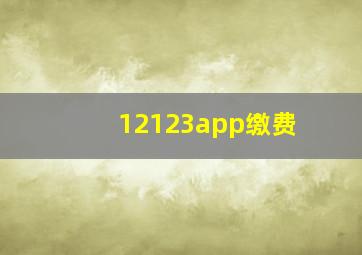 12123app缴费