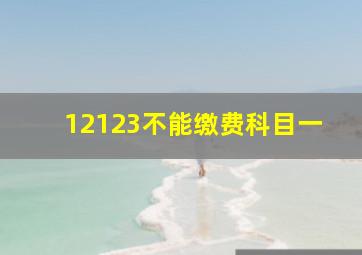 12123不能缴费科目一