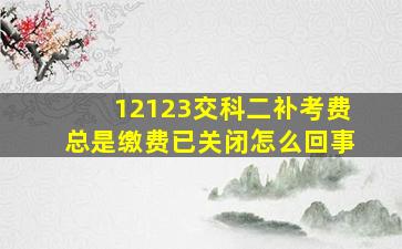 12123交科二补考费总是缴费已关闭怎么回事