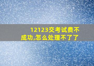 12123交考试费不成功,怎么处理不了了