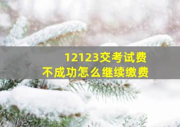 12123交考试费不成功怎么继续缴费