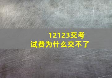 12123交考试费为什么交不了