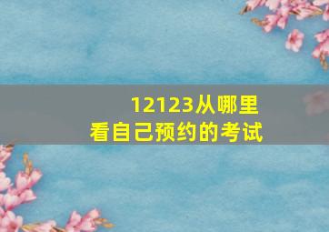 12123从哪里看自己预约的考试