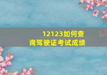 12123如何查询驾驶证考试成绩