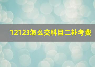 12123怎么交科目二补考费