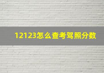 12123怎么查考驾照分数