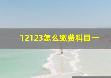 12123怎么缴费科目一