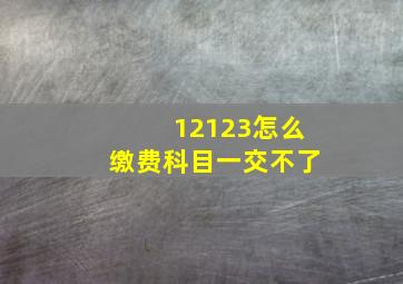 12123怎么缴费科目一交不了