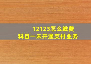 12123怎么缴费科目一未开通支付业务