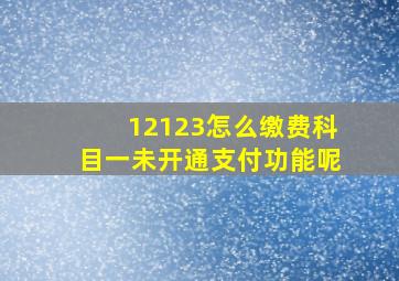 12123怎么缴费科目一未开通支付功能呢