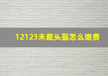 12123未戴头盔怎么缴费