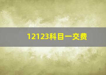 12123科目一交费