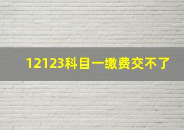 12123科目一缴费交不了