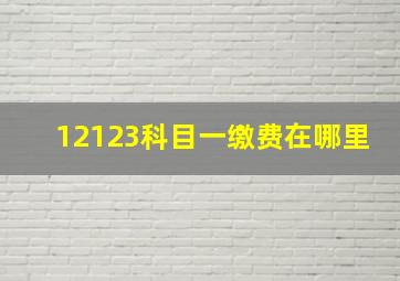 12123科目一缴费在哪里