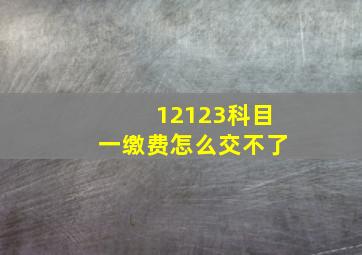 12123科目一缴费怎么交不了