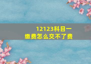 12123科目一缴费怎么交不了费