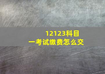 12123科目一考试缴费怎么交