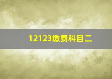 12123缴费科目二