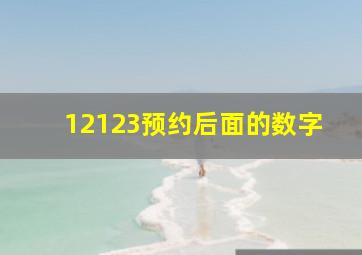 12123预约后面的数字