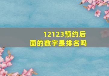 12123预约后面的数字是排名吗