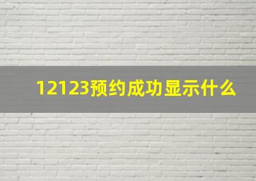 12123预约成功显示什么