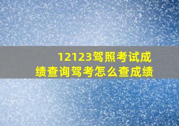 12123驾照考试成绩查询驾考怎么查成绩