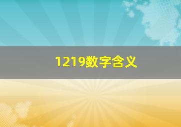 1219数字含义