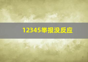 12345举报没反应