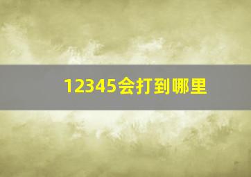 12345会打到哪里