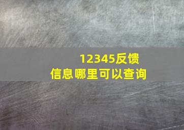 12345反馈信息哪里可以查询