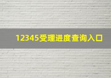 12345受理进度查询入口