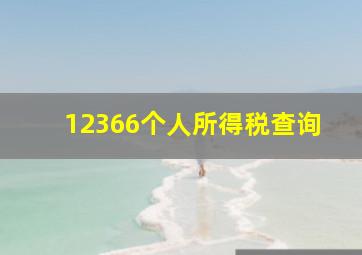 12366个人所得税查询