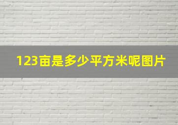 123亩是多少平方米呢图片