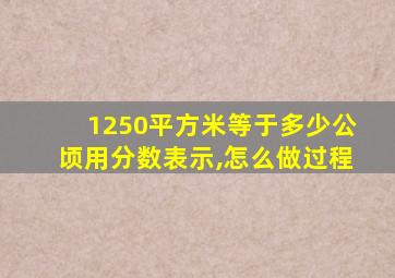 1250平方米等于多少公顷用分数表示,怎么做过程