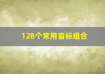 128个常用音标组合