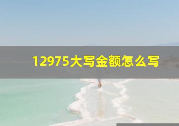 12975大写金额怎么写