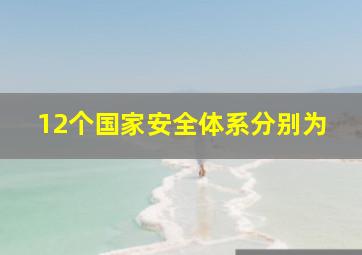 12个国家安全体系分别为