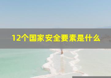 12个国家安全要素是什么